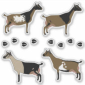 Nigerian Dwarf Dairy Goat Sticker (Voorkant)