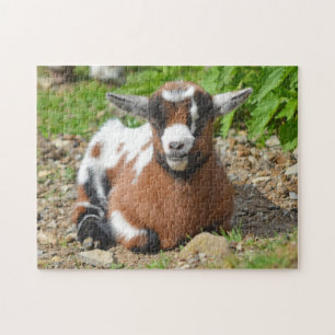 Nigerian Dwarf Goat Kind Legpuzzel
