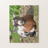 Nigerian Dwarf Goat Kind Legpuzzel (Verticaal)