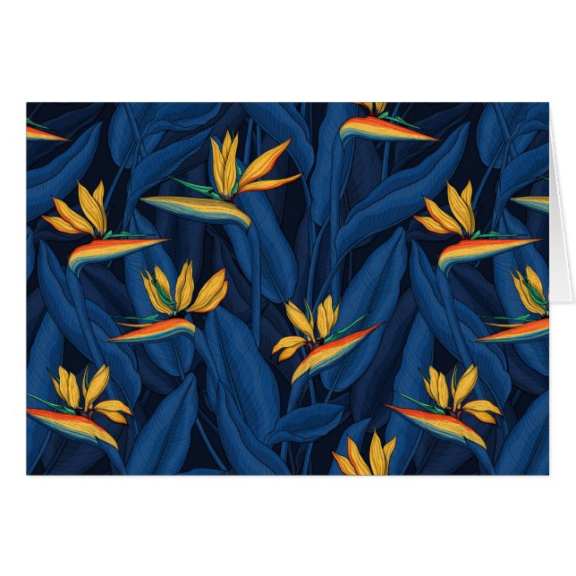 Night bird of paradise garden 2 (Devant horizontal)