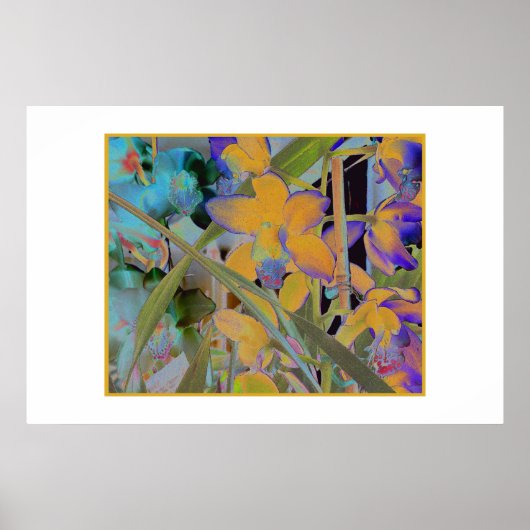 Night Bloom Poster (Voorkant)