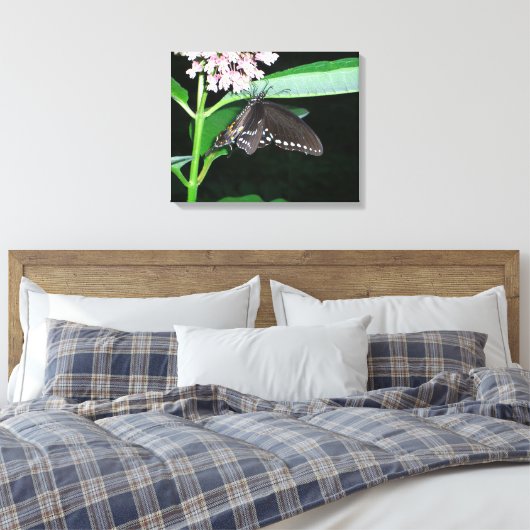 Night Butterfly Black Swallowtail bij Shenandoah Canvas Afdruk (Insitu (Slaapkamer))