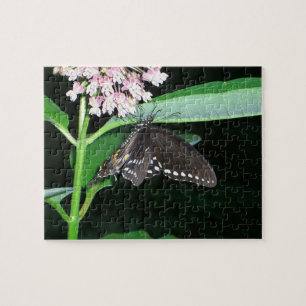 Night Butterfly Black Swallowtail bij Shenandoah Legpuzzel