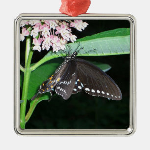 Night Butterfly Black Swallowtail bij Shenandoah Metalen Ornament