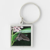 Night Butterfly Black Swallowtail bij Shenandoah Sleutelhanger (Voorkant)