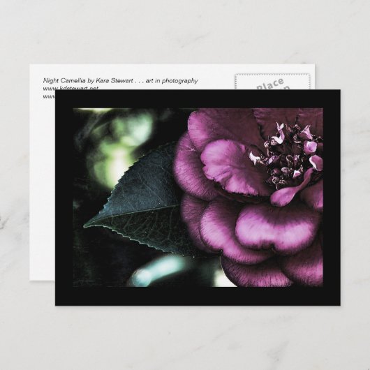 Night Camellia-Briefkaart Briefkaart (Voorkant / Achterkant)