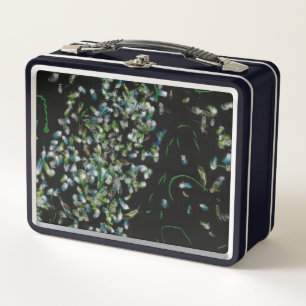 Night Flight Metalen Lunchbox