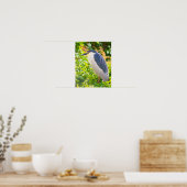 Night Heron Bird Poster (Keuken)