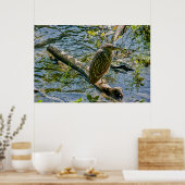 Night Heron jv Poster (Keuken)