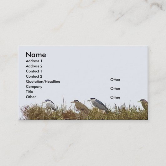 Night Heron Visitekaartje (Voorkant)