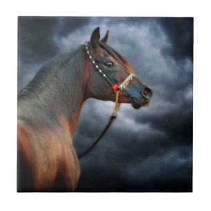 Night Horse Tegeltje