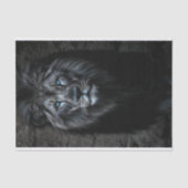 Night King Tissuepapier (Voorkant)