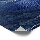 Night Life Poster (Hoek)