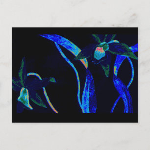 Night Orchid Briefkaart