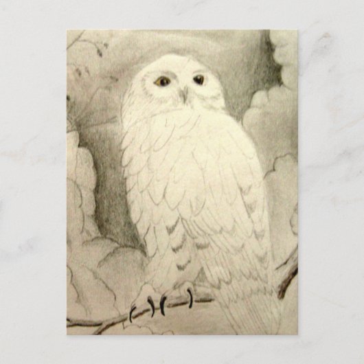 Night Owl Briefkaart (Voorkant)