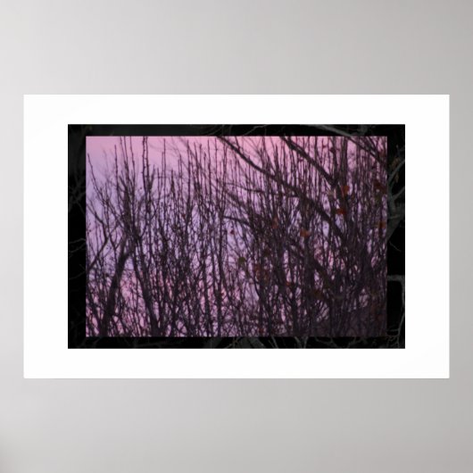 Night Poster (Voorkant)