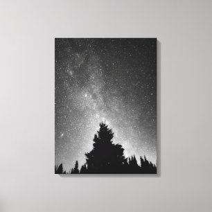 Night Sky Canvas Afdruk