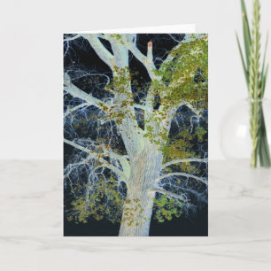 "Night Tree" Digitaal gewijzigd afbeelding van str Kaart