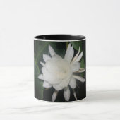 Nightblooming Cereus Mok (Midden)