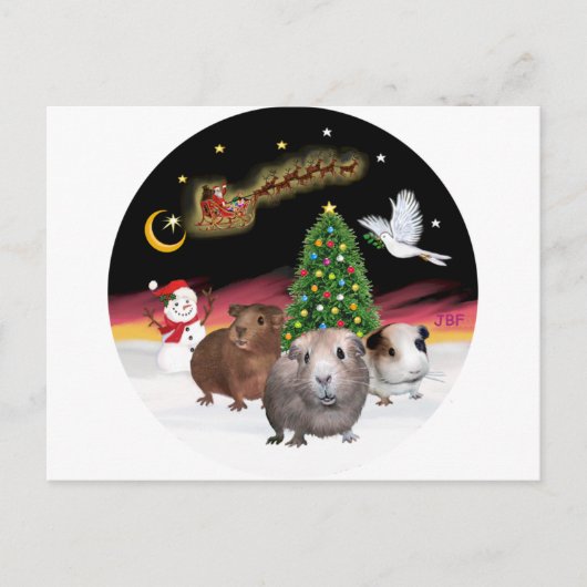 NightFlight - 3 cavia's Briefkaart (Voorkant)