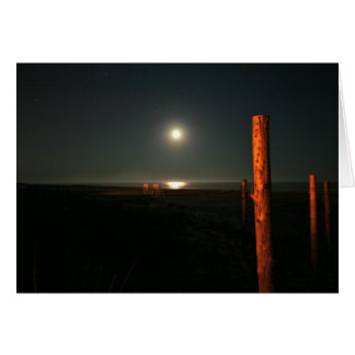 Nightguard—Beach at Night