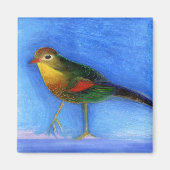 Nightingale Light 2012 Magneet (Voorkant)