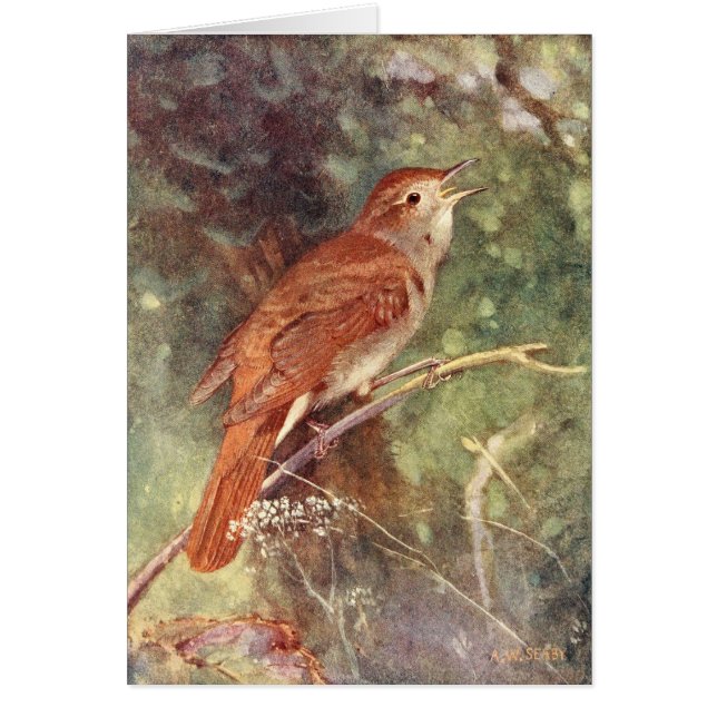 Nightingale Singing (Voorkant)