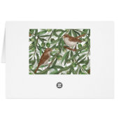 Nightingales dans l'olivier (Dos Horizontal)