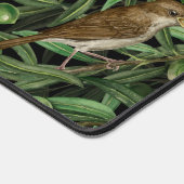 Nightingales dans l'olivier 3 (Coin)