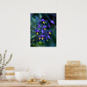 Nightshade Plant, mooi en giftig Poster (Keuken)
