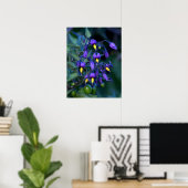 Nightshade Plant, mooi en giftig Poster (Thuiskantoor)