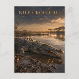 Nijl krokodil Afrikaanse rivier DIEREN Briefkaart