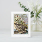 Nijlkrokodil Briefkaart (Staand voorkant)