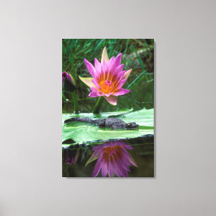 Nijlkrokodil (Crocodylus Niloticus) Hatchling Canvas Afdruk