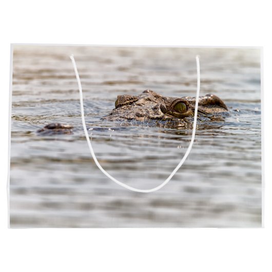 Nijlkrokodil Large Cadeautasje (Achterkant)