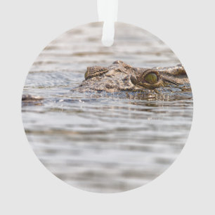 Nijlkrokodil Ornament