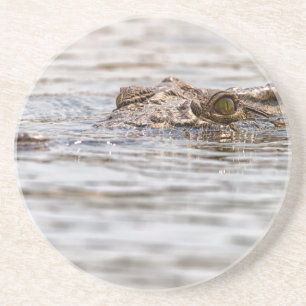 Nijlkrokodil Zandsteen Onderzetter