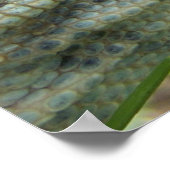 Nijlmonitor Poster (Hoek)