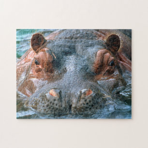 Nijlpaard #1 legpuzzel