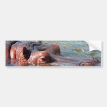 Nijlpaard bumpersticker