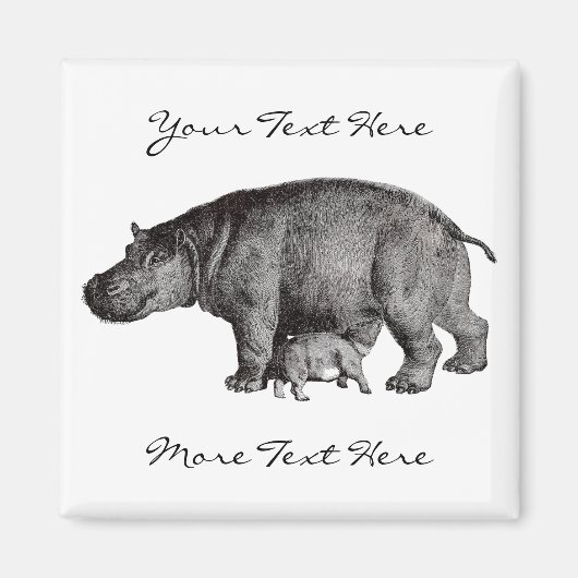  nijlpaard magneet (Voorkant)