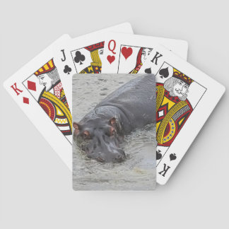nijlpaard pokerkaarten