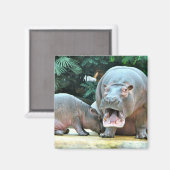 Nijlpaarden Magneet (Voorkant / Achterkant)