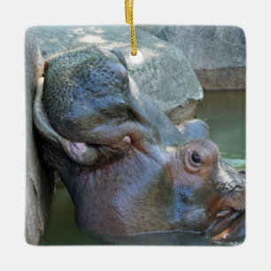 Nijlpaardornament Keramisch Ornament