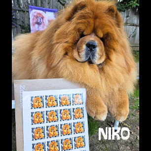 NIKO chow - ArtMuse PORTAL Serie Vierkante Sticker