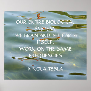 NIKOLA TESLA CITAT - ZELFDE FREQUENTIES - POSTER