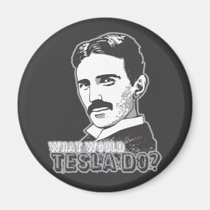 Nikola Tesla Magneet