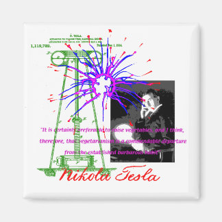 Nikola Tesla Magneet