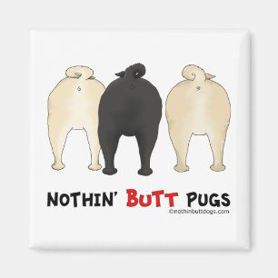 Niks, pugs magneet