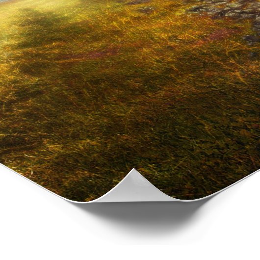 nil novi sub sole (automne) - Poster (Coin)